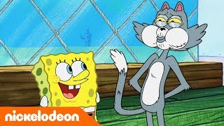 SpongeBob | Nickelodeon Arabia | سبونج بوب | ما هو سر كيني؟
