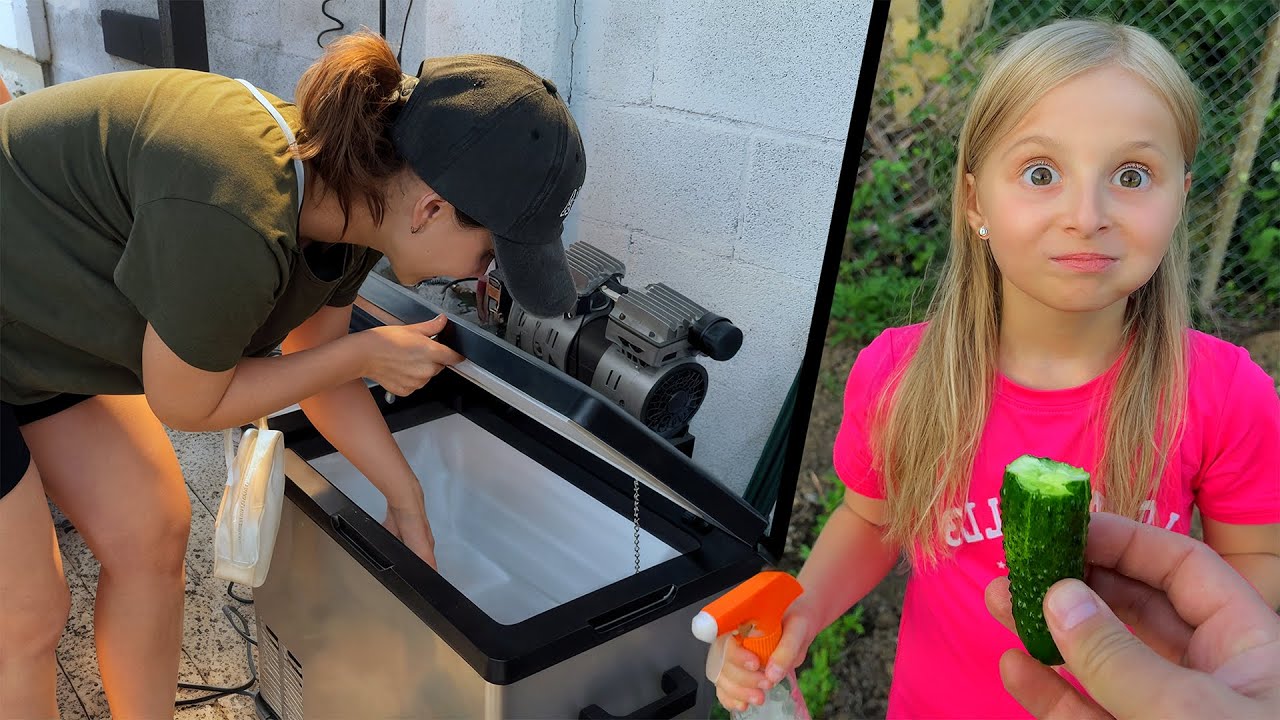 Gata de Drum! 🥰 Avem si Castraveti! 🥳😯