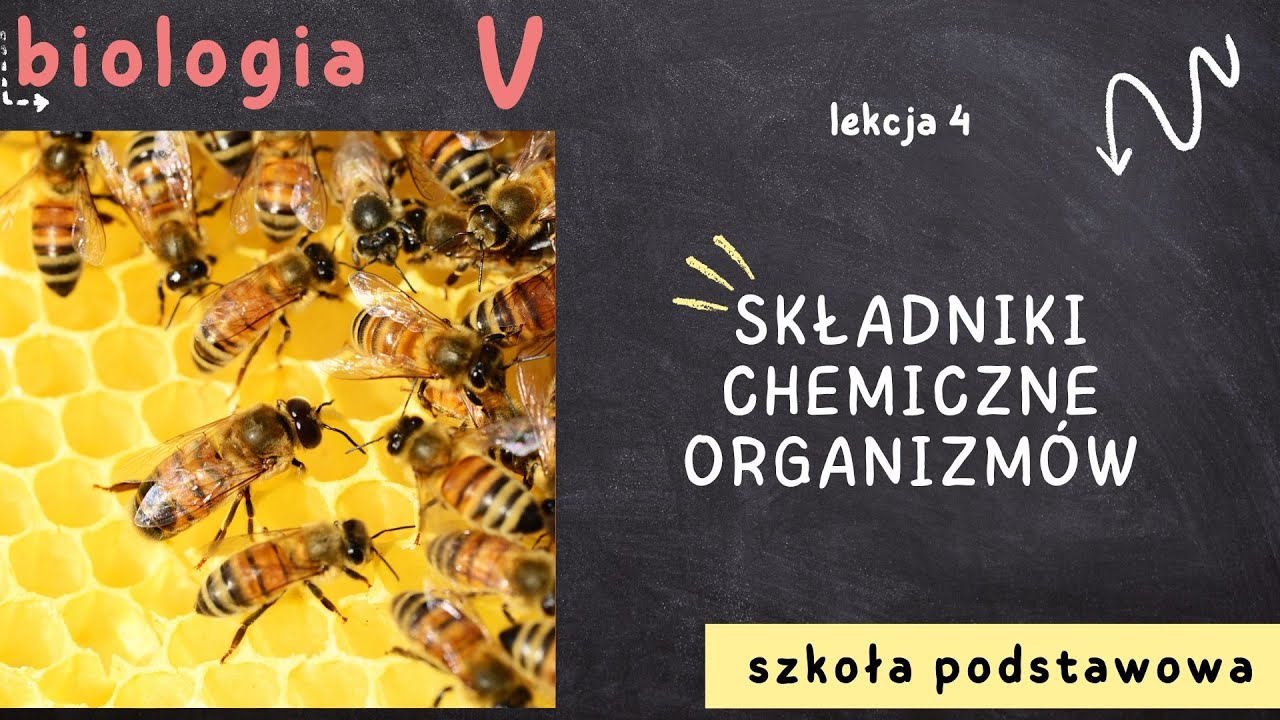 Skladniki Chemiczne Organizmow Sprawdzian Klasa 5 Biologia klasa 5 [Lekcja 4 - Składniki chemiczne organizmów] - YouTube