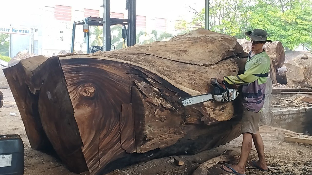 AMAZING!! 50,000 Dollar Wood