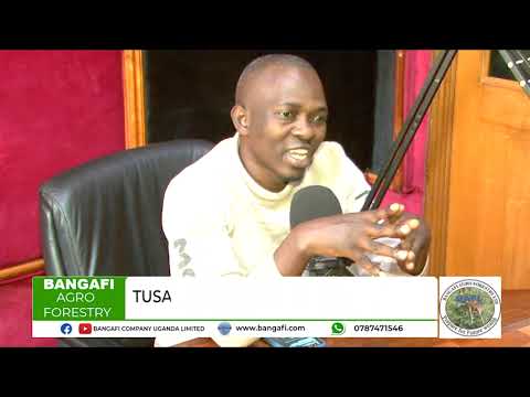 MUWENDO KI GWOTADDE KUBYOKOLA OKUSOBOLA OKUTUUGA KUKIRUBIRIRWA