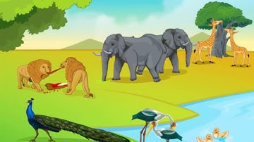 ICSE Class 9 Biology / Five Kingdom Classification 4 - The Animal Kingdom