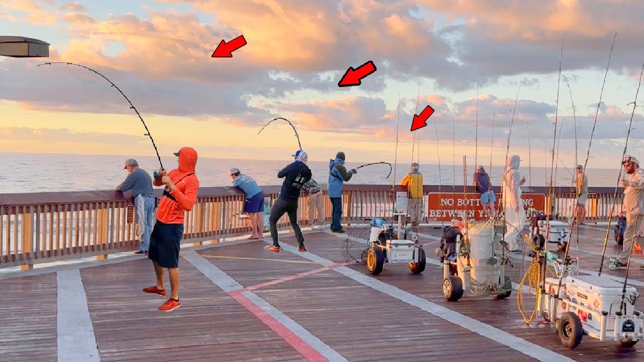 Walked to The End of The Pier and Caught Something Crazy!