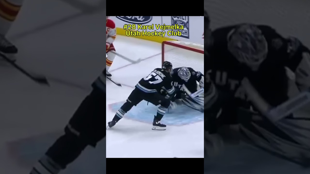 Ranking NHL teams based on there starting goalies Pt 1 