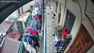 The Mactan  Live