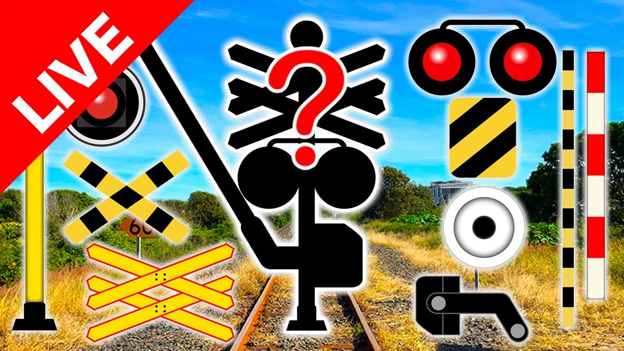 【踏切アニメLIVE】 #050 今日はどんなカンカン踏切ハプニング？｜毎日更新中！