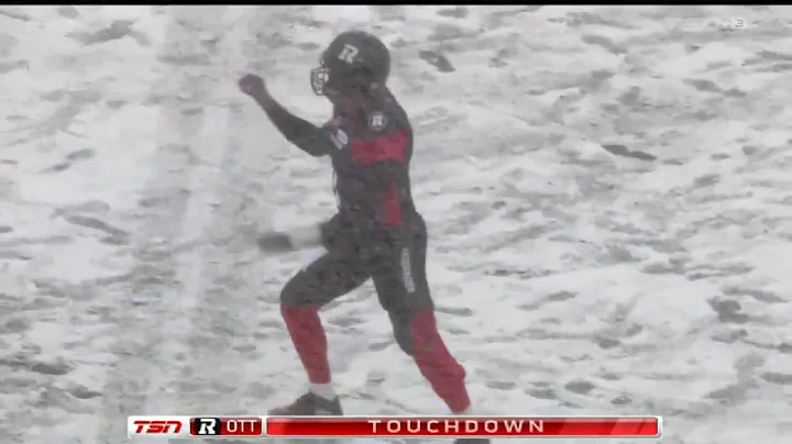 November 20, 2016 - Henry Burris 24 yard touchdown...