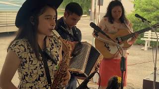 Video thumbnail of "Solamente Alabale Live Austin Tx (4/5) - Los Fuertes Del Norte"