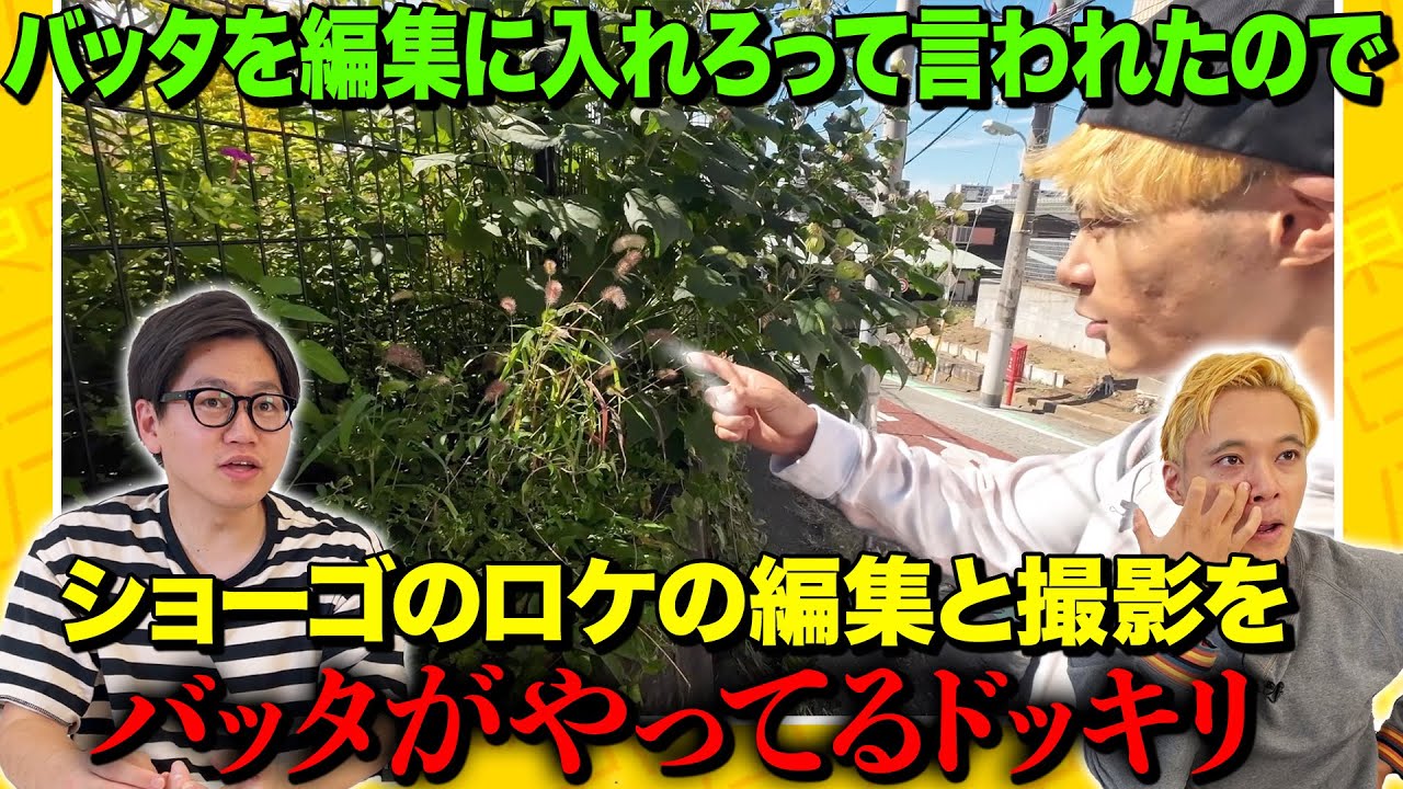 【ドッキリ】バッタを編集に入れろとは言ったが本当にバッタが編集してたら謝るのか？