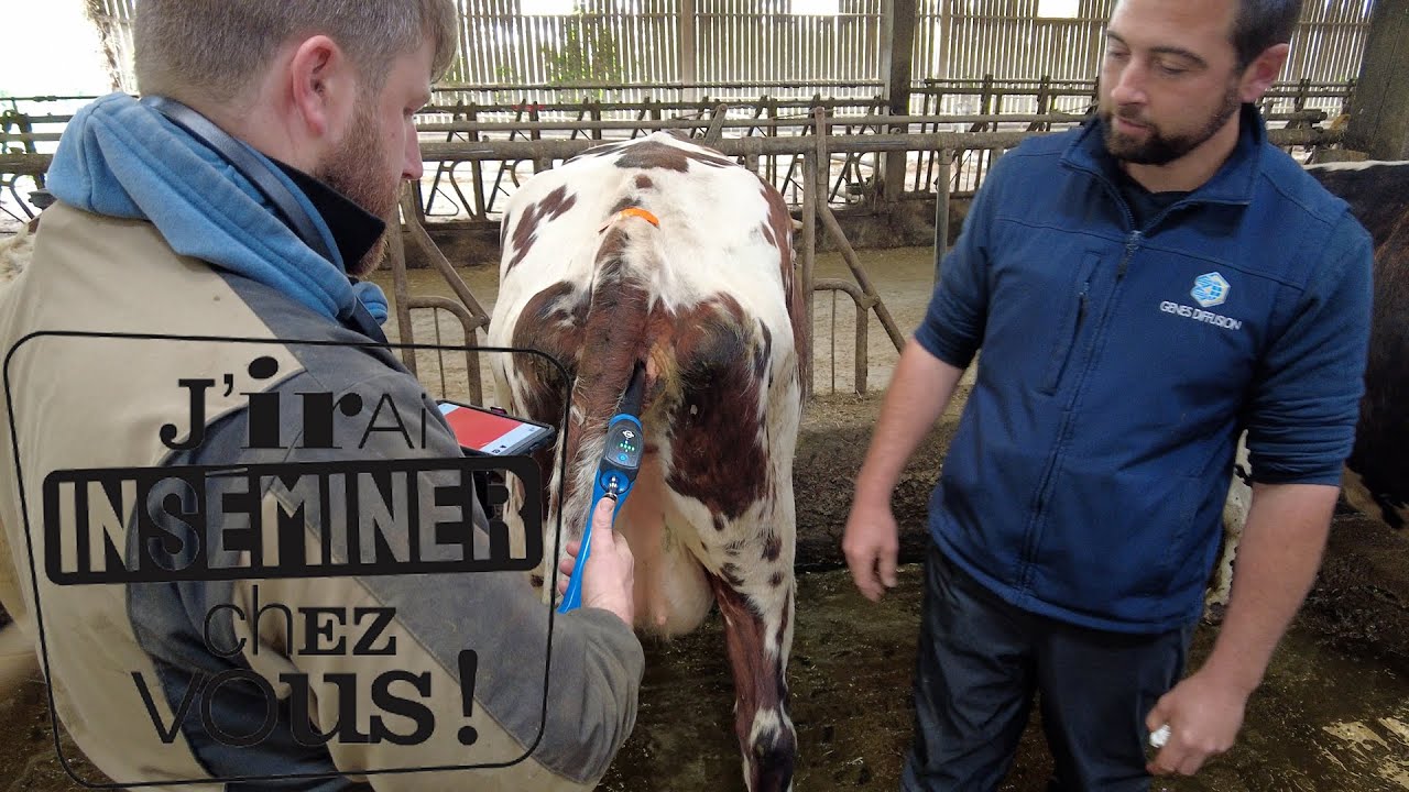 J'IRAI INSÉMINER CHEZ VOUS #8 - L'Eye Breed V2