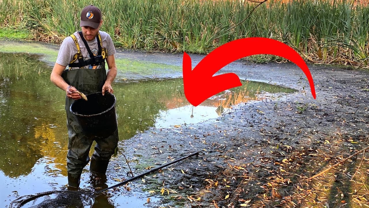 1000 Fische in einer Pfütze! | Was wir hier gefunden haben ist unglaublich....