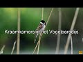 Kraamkamers in het Vogelparadijs