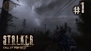 S.T.A.L.K.E.R. CoP #1 - Call of the Zone screenshot 1