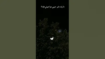 جابولي ماس ولولي قلت انا ماريده ما رايده غيرحبيبي 