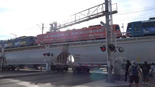 [Signal Mast Raised] BNSF 7835 Grain Train North, Florin Rd. Railroad Crossing, Sacramento CA