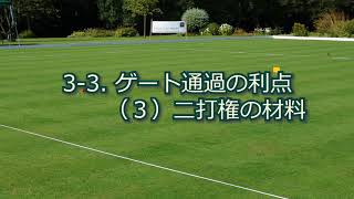 【初心者用】ゲートボールの得点のとり方【Gateball】