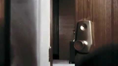 James Plotkin - Disease As A Child