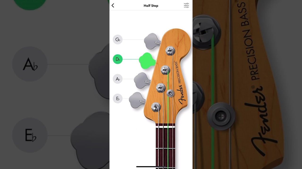 bass tuning Eb standard half step down