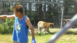 SAM_0684.AVI