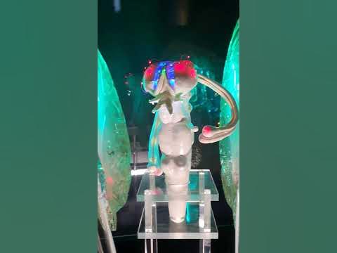 Музей мозга в Санкт-Петербурге. Пауки атакуют. - YouTube