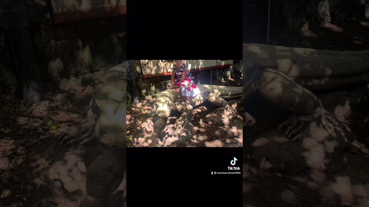 Perth zoo Perth Western Australia part 4 September 2021