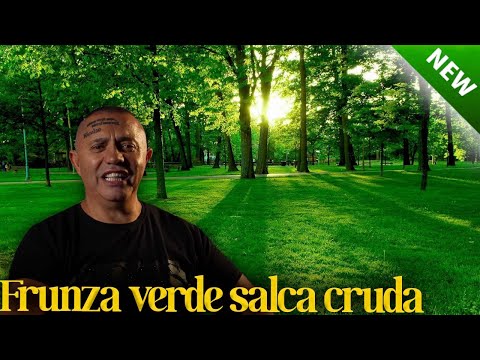 Nicolae Guta DOINA Frunza Verde Salca Cruda LIVE 2022