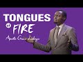 Tongues of Fire by Apostle Grace Lubega #apostlegracelubega #phaneroo #prayer