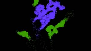 HexSim Frogs and Chytrid