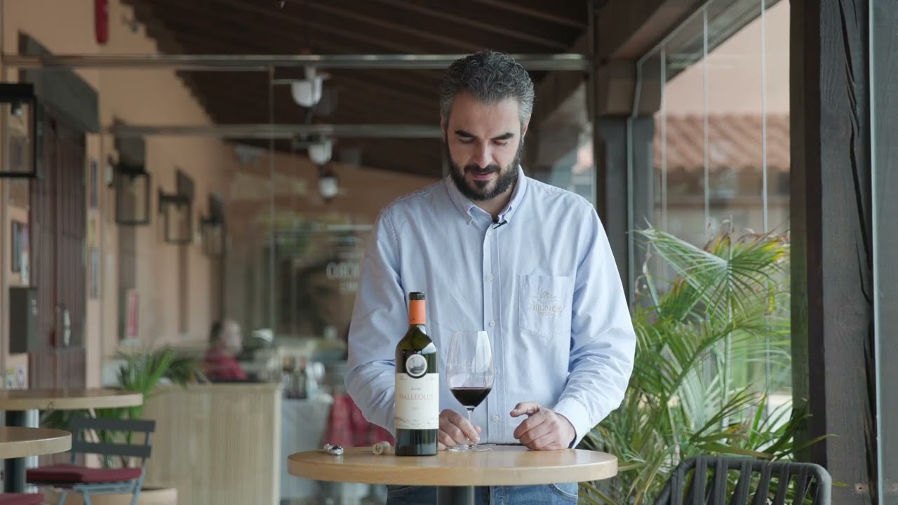 VIDEOCATA MALLEOLUS 2022