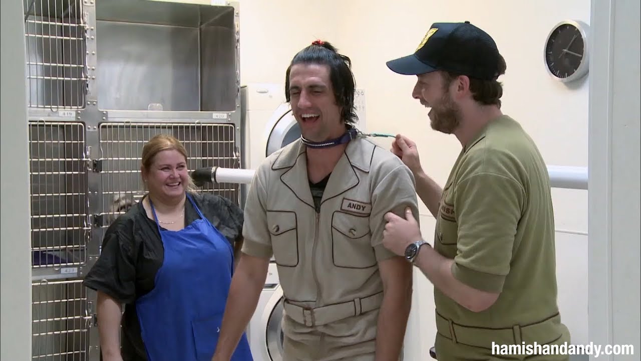 Энди получает спа-процедуры для собак