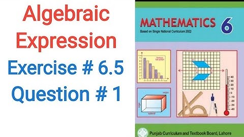 Class 6 Math Exercise 6.5 Question 1