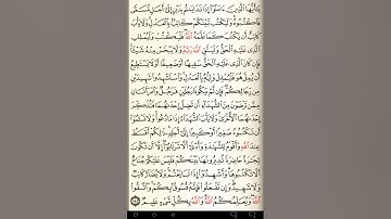 ماهر المعيقلي سورة البقرة مكتوبة صفحة 48 مصحف المدينة المنورة جودة عالية