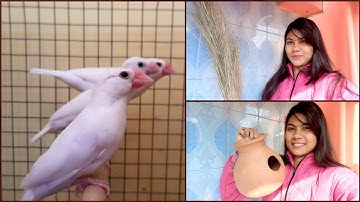 How to Make Java Bird