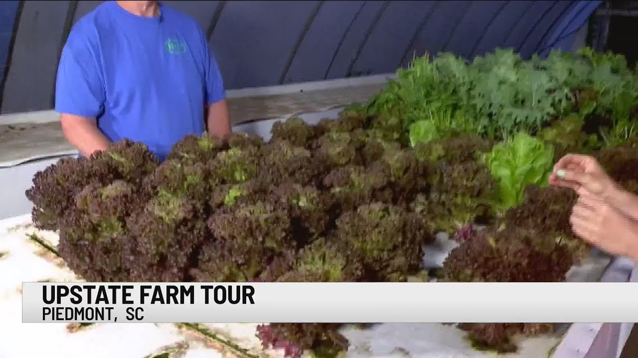 12 farms to participate in Upstate Farm Tour on June 13 YouTube