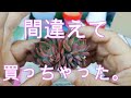 【韓国苗の植え方！】ブラックスワンと間違えて多肉(カット苗)を買ったけど。。