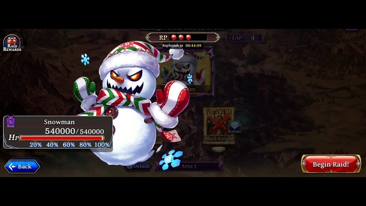 Winter Raid Snowman Lap 4 (540k)