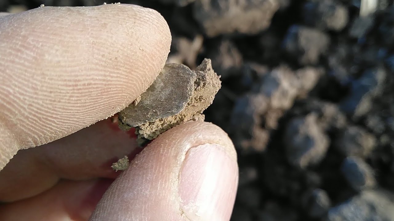 Úžasná hledačka,opět 2 Stříbrné staré mince,měďáčky a pár zajímavostí s detektorem kovu na poli