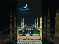 Power of islam ☪️ 💪 💯 #viralvideo #powerofislam #ytshorts #shorts #trending #trendingshorts