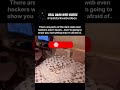 We only post the parts of the internet most people pretend don’t exist #darkweb #scary #horror