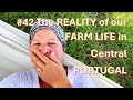 42 la ralit de vivre dans notre homestead au centre du portugal