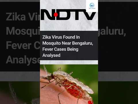 Be Aware Of The Zika Virus Shorts Viral 