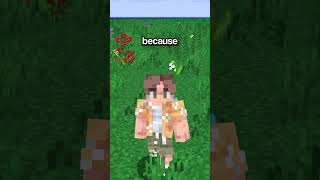 Why does EVERYONE visit India on the Minecraft EARTH SERVER? #minecraftserver #earthsmp #gaming