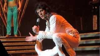 Steve Goodman - ELVIS IMITATOR - chords