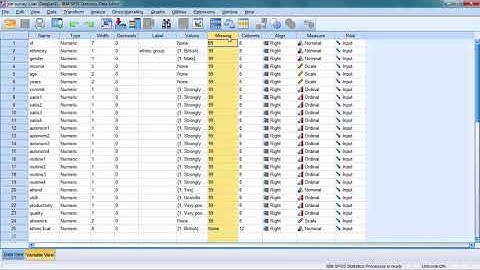 SPSS 24 Tutorial 3: My Dataset and Variables
