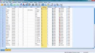 Famous SPSS 24 Tutorial 3: My Dataset and Variables Profile