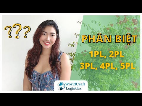 Video: 3PL có sở hữu xe tải không?