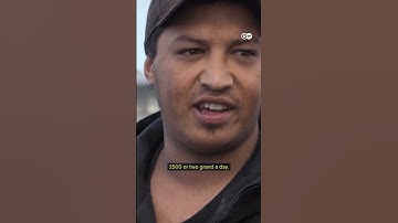 Abalone, sharks and survival | DW Documentary