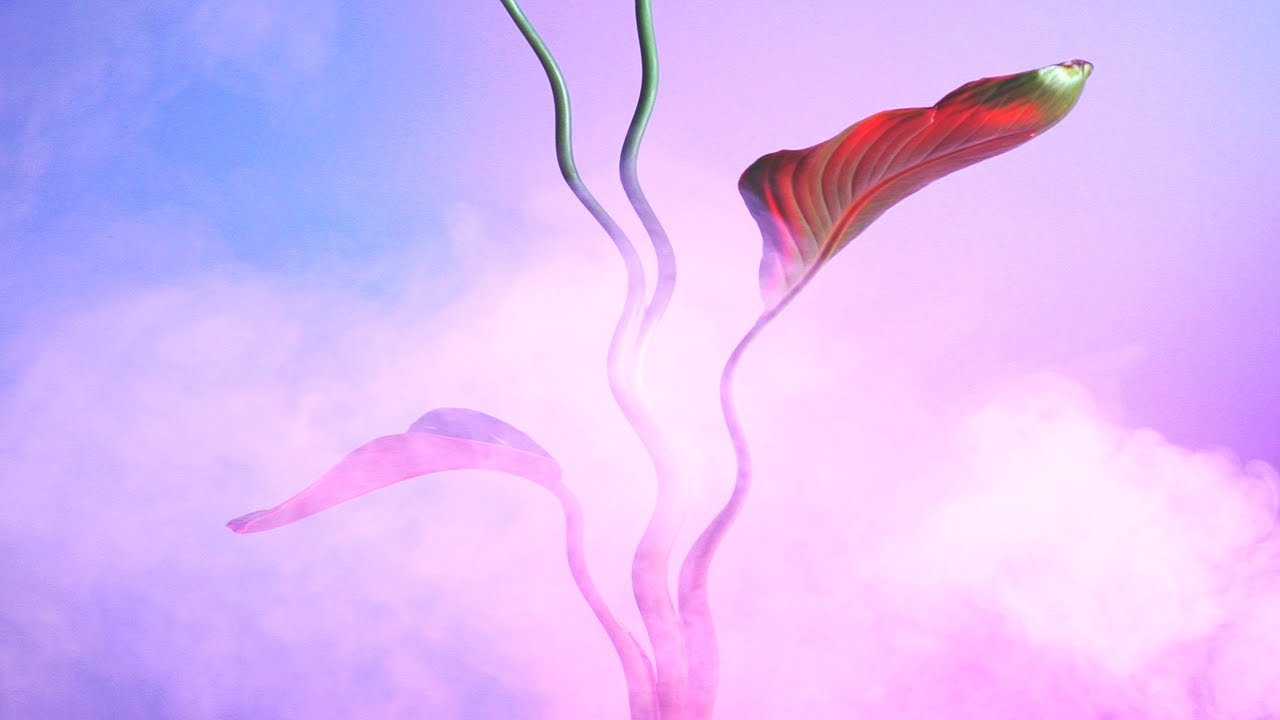 Broke For Free - 95 [Music Video]