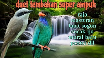 raja tembak tajam jingjing petulak dan Tengkek Buto