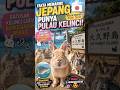 😱 Siapa Sangka Jepang Punya Pulau yang Dikuasai Ratusan Kelinci Lucu!#Okunoshima#faktaunik #Fakta
